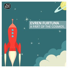 Evren Furtuna - Black Cat (Original Mix)