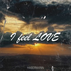 I Feel Love - Habermann
