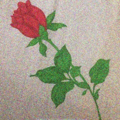 Мёртвые цветы