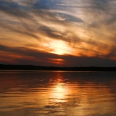 Psalm 119 - Perfect Way