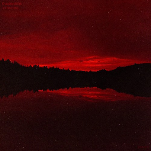 DMTC005 - Rise 1969 - Doublethink EP (Preview Mix)