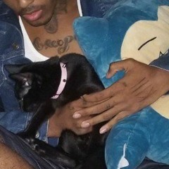 XXXTENTACION - #PROUDCATOWNER (CLEAN)