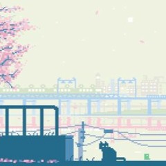 so much I need to say