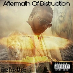 Slow Song Sad Walk/Silver Back Muzic