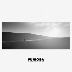 Chris Avantgarde - Furiosa