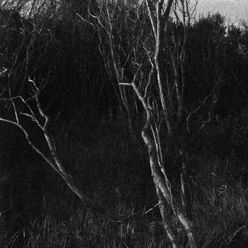 AGV - DES [memotone Rework] (excerpt)