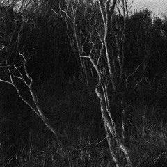 TT033: African Ghost Valley / memotone (preview)