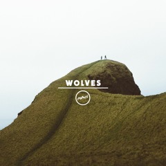 Marshmello x Selena Gomez - Wolves (Nomis Remix)