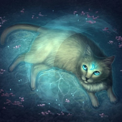 LUNIS_WIP
