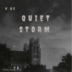 Quiet Storm Freestyle (Prod: RadioTom)