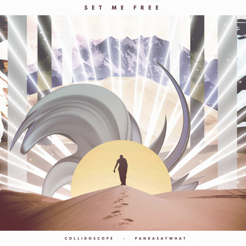 Collidoscope x Pandasaywhat?! - Set Me Free
