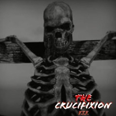 The Oracle Freestyle