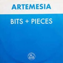 Artemesia Vs The Tamperer - Feel My Bits (Anthems Club Mash Up)