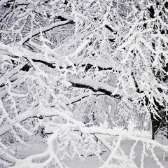 violent snow (feat. jackdylan & cluda)