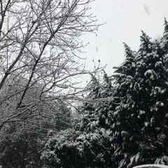 The Get Down (Original Mix)