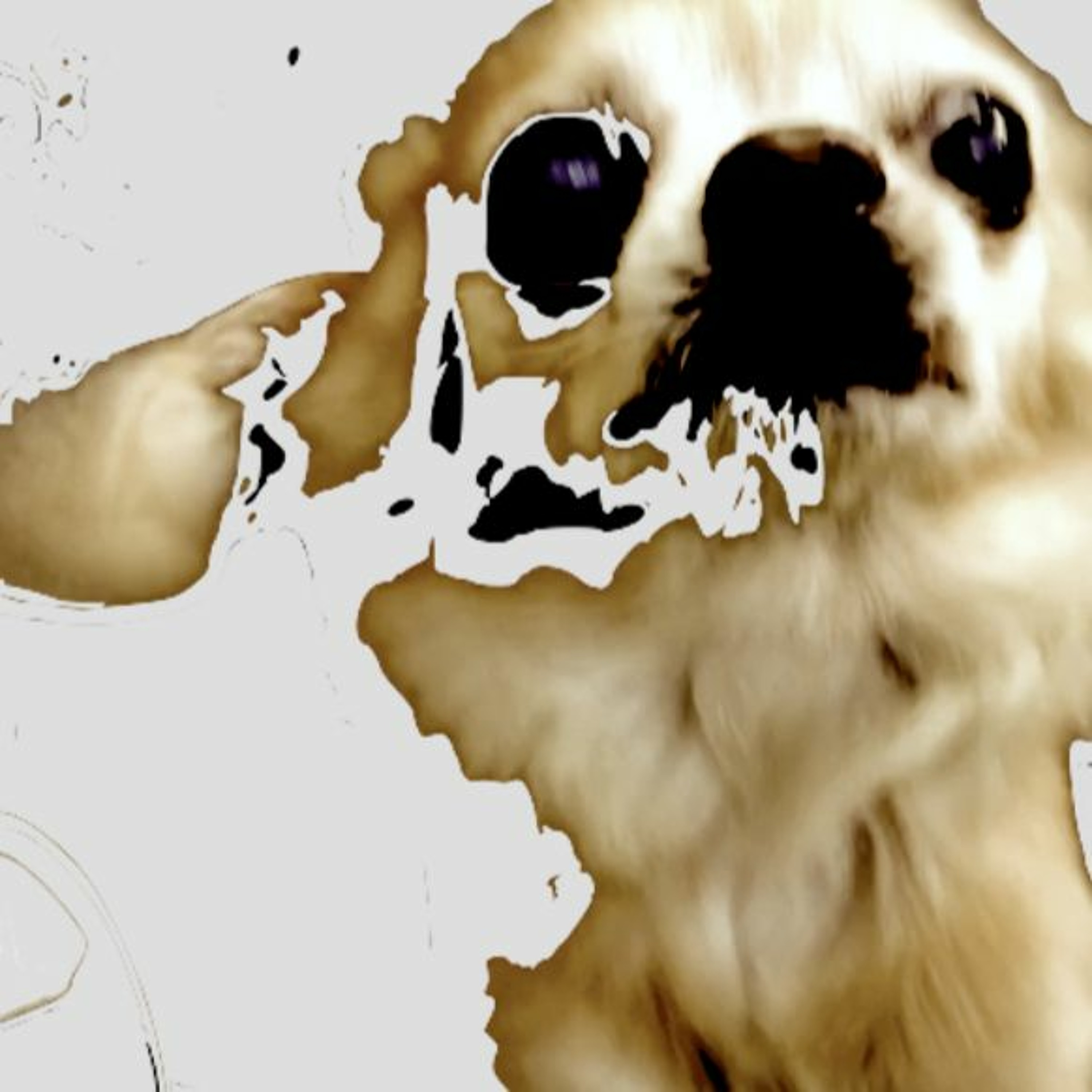 Rif Raf bath episode artwork