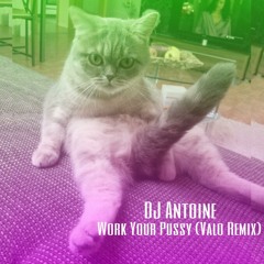 Work Your Pussy (Valo Remix) - Dj Antoine