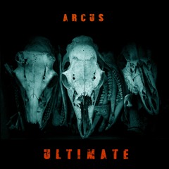 Flash Mob - Radio Edit