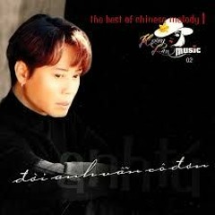 Một thoáng chim bay - Anh Tú