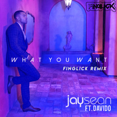 Jay Sean, Davido - What You Want (Finglick Remix)