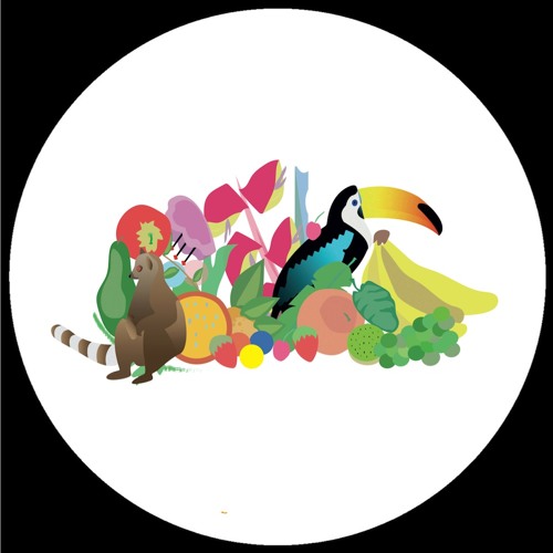 Hidden Spheres ~ Wonders of the Rainforest EP