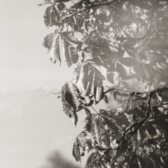 Afterglow ft. Keenan O'Meara