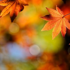 A better day - Dieguín & Gui (Ex She's Wanda)