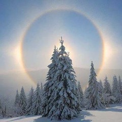WinterSun