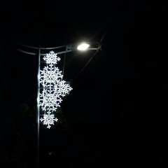 Nobela-Join the Club Cover.mp3