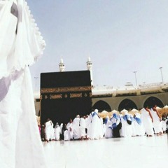 محمد النقيب💛