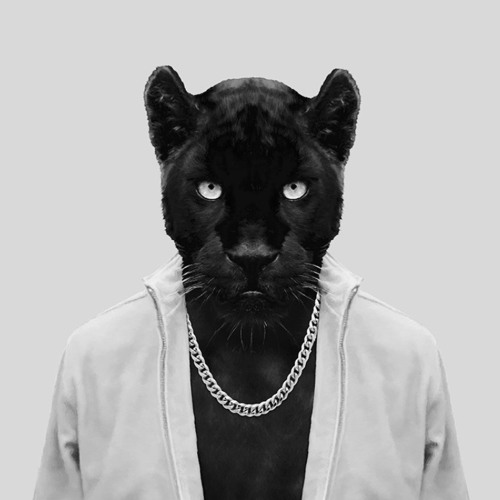 Panther Sound
