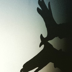 Gonna Make It Through - The Butterfly Effect