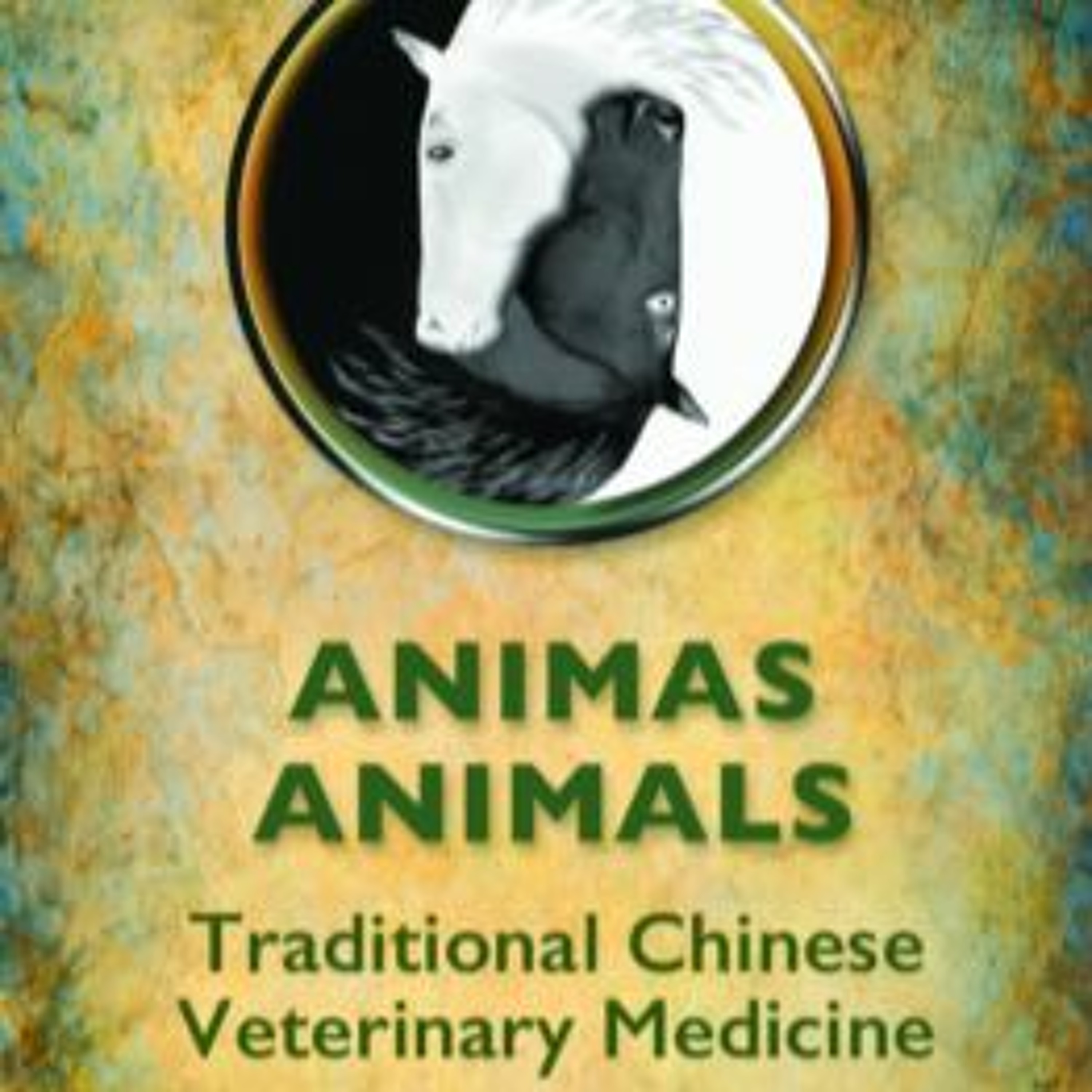 The Magical Mystery Tour Jan 5 2018 Karlene Stange 2 Veterinary Acupuncture & Horse Sense episode artwork