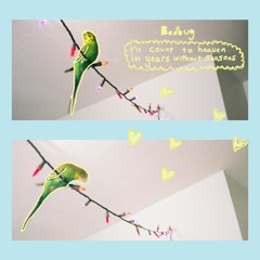 Bedbug - melissa's poem pt2