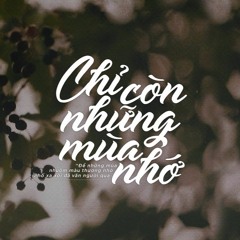 Bảo Trâm - Chỉ Còn Những Mùa Nhớ Rimex