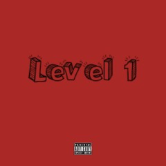 level 1