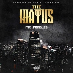 Mr. Pringles- Hiatus