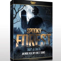 Spooky Forest Snaps Cracks