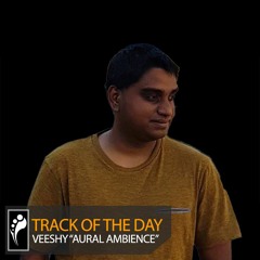 Track of the Day: Veeshy “Aural Ambience”