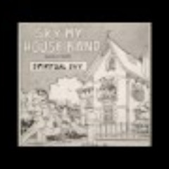 Spiritual Sky - Sky my house band (vinyl sound)