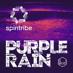 SPINTRIBE - PURPLE RAIN