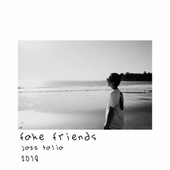 fake friends