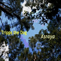 Asraya