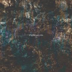 Fallen Ground