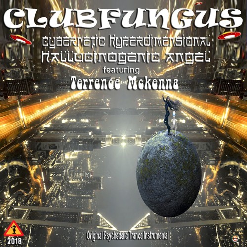 Cybernetic Hyperdimensional Hallucinogenic Angel ft. Terrence Mckenna