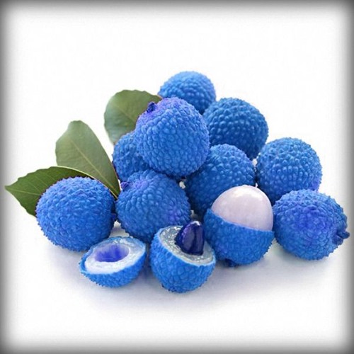 Remets En Une Couche - 096