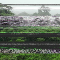 Avance - Algoritmo de Ecosistemas Sonoros