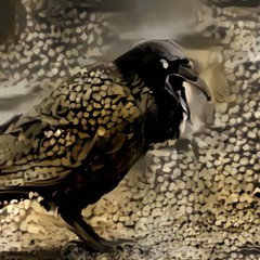 Ceremony For The Old Crow