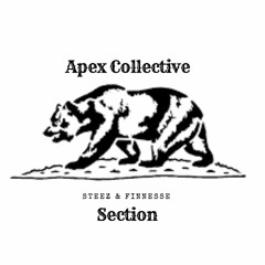 "Section" - Steez & Finnesse (Prod. Pyro Beats)