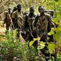 BLOXKO AND RAMBO_JUNGLE